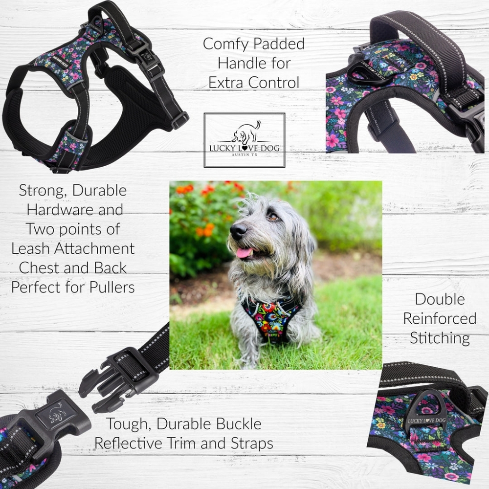 Lucky Love Dog Harness • Easy Walker • Primrose Floral Soft 17 - 22" - Picture 2 of 3
